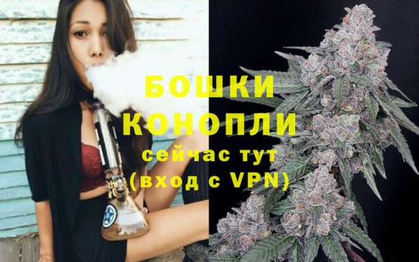 индика Богородицк