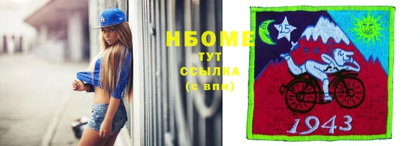 индика Богородицк