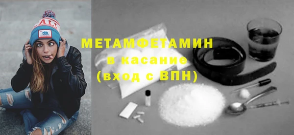 индика Богородицк
