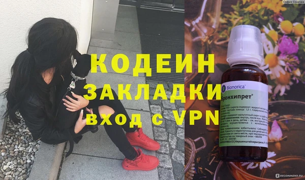 индика Богородицк