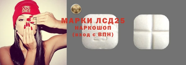 индика Богородицк