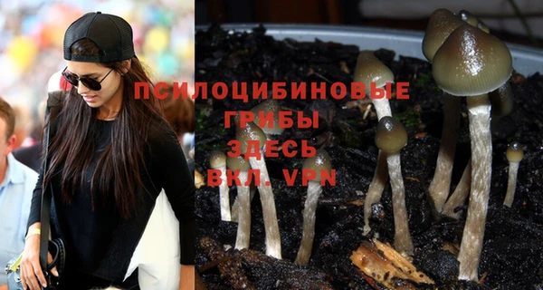 индика Богородицк