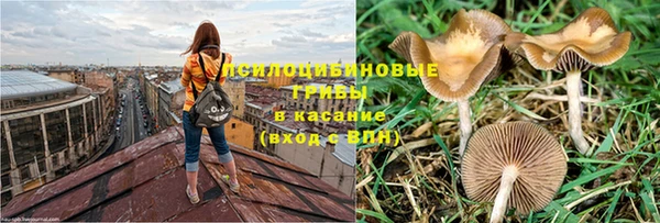 не бодяженный Богданович