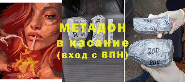 индика Богородицк