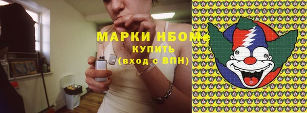 индика Богородицк