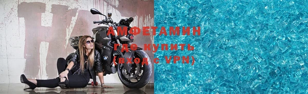индика Богородицк
