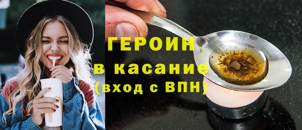 индика Богородицк