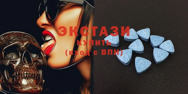 индика Богородицк