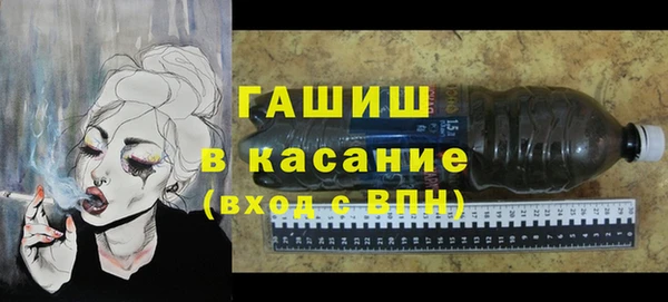 индика Богородицк