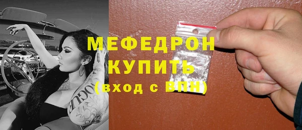 индика Богородицк